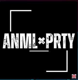 TECH Artist Dan ANMLXPRTY