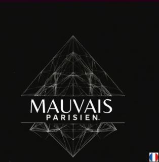 TECH Artist Mauvais Parisien